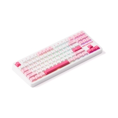 Bàn phím cơ không dây AKKO TAC87 Multi Mode RGB Hotswap (AKKO Sw)