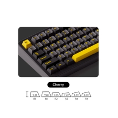 Bàn phím cơ không dây AKKO TAC87 Multi Mode RGB Hotswap (AKKO Sw)