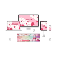 Bàn phím cơ không dây AKKO TAC87 Multi Mode RGB Hotswap (AKKO Sw)