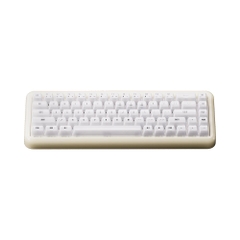 Bàn phím cơ không dây AKKO YU01 RGB Hotswap (AKKO Sw V3 Pro)