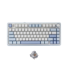 Bàn phím cơ không dây AULA F75 RGB Hotswap (Leobog Sw)