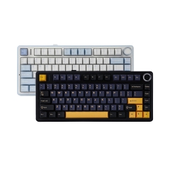 Bàn phím cơ không dây AULA F75 Black RGB Hotswap (Leobog Sw)