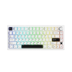 Bàn phím cơ không dây Dareu FLEX 75 RGB Hotswap (Dareu SW)