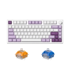 Bàn phím cơ không dây FL-Esports GP75 CPM Taro Purple 3 Mode Led RGB HotSwap TTC Switch Neptune/ Venus