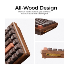 Bàn phím cơ không dây Keychron K2 HE All-Wood Special Edition RGB Hotswap Aluminum (Magnetic Sw)