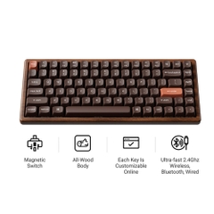 Bàn phím cơ không dây Keychron K2 HE All-Wood Special Edition RGB Hotswap Aluminum (Magnetic Sw)
