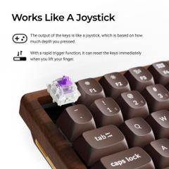 Bàn phím cơ không dây Keychron K2 HE All-Wood Special Edition RGB Hotswap Aluminum (Magnetic Sw)