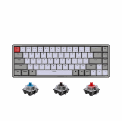 Bàn phím cơ không dây Keychron K6 Aluminum HotSwap Keychron Switch Red / Blue / Brown