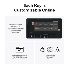 Bàn phím cơ không dây Keychron K8 HE Special Edition RGB Hotswap Aluminum (Magnetic Sw)