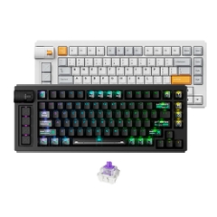 Bàn phím cơ không dây Keychron Lemokey L1 HE Shine Through RGB Hotswap CNC Aluminum (Magnetic Sw)