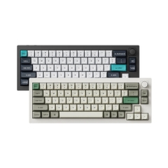 Bàn phím cơ không dây Keychron Q2 Max RGB Hotswap (Gateron Sw)