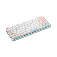 Bàn phím cơ không dây Rapoo MT510 Pro Multi Mode (Silver Sw)