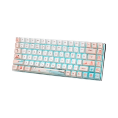 Bàn phím cơ không dây Rapoo MT510 Pro Multi Mode (Silver Sw)