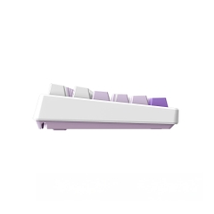 Bàn phím cơ không dây TKL MSI FORGE TKL WIRELESS FRIEREN EDITION