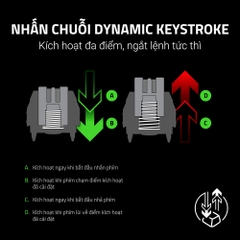 Bàn phím cơ Razer Huntsman V3 HE Magnetic Mini 65% 8KHz RZ03-05930100-R3M1