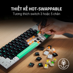 Bàn phím cơ Razer Reclusa X Mini 65% RZ03-05980100-R3M1