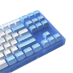 Bàn phím cơ TKL AKKO ACR87 Blue RGB Akko CS Jelly Blue