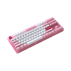 Bàn phím cơ TKL AKKO ACR87 Pink RGB Akko CS Jelly Pink
