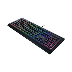 Bàn phím Razer Cynosa V2 RZ03-03400100-R3M1