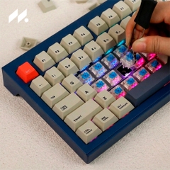 Dịch vụ Combo tháo, lắp, hàn switch bàn phím cơ