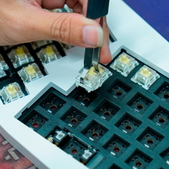 Dịch vụ tháo công tắc (Switch) bàn phím cơ - Có hotswap