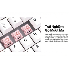 Bàn phím cơ AKKO 5075S RGB Hotswap (AKKO Sw)