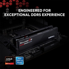 RAM PC G.Skill Ripjaws S5 96GB 5200MHZ DDR5 (2x48GB) F5-5200J4040A48GX2-RS5K
