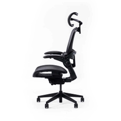 Ghế công thái học Epione Easy Chair 2.0