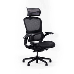 Ghế công thái học Epione Easy Chair 2.0