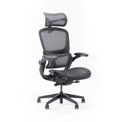 Ghế công thái học Epione Easy Chair 2.0