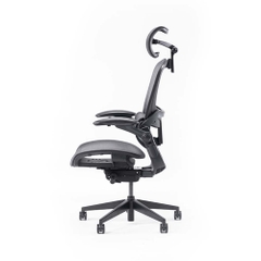 Ghế công thái học Epione Easy Chair 2.0