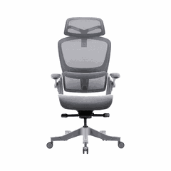 Ghế công thái học Epione Easy Chair