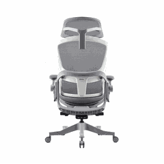 Ghế công thái học Epione Easy Chair