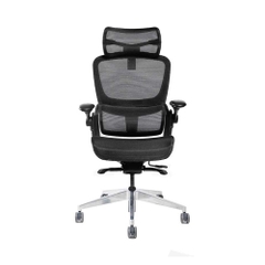 Ghế công thái học Epione Easy Chair SE