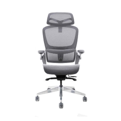 Ghế công thái học Epione Easy Chair SE