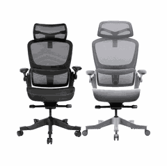 Ghế công thái học Epione Easy Chair