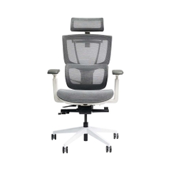 Ghế công thái học Epione ErgoChair Pro 2.0