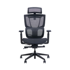 Ghế công thái học Epione ErgoChair Pro 2.0