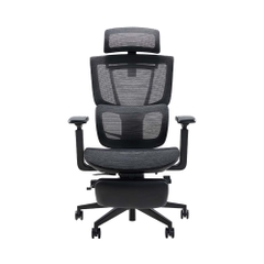 Ghế công thái học Epione ErgoChair Pro 2.0 (kèm kê chân)