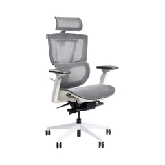 Ghế công thái học Epione ErgoChair Pro 2.0