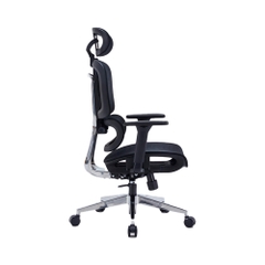 Ghế công thái học Warrior Hero WEC509 Pro Black