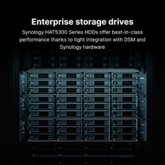 HDD Synology HAT5310 20TB 3.5 inch SATA 256MB Cache 7200RPM HAT5310-20T