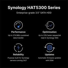 HDD Synology HAT5320 20TB 3.5 inch SATA 1GB Cache 7200RPM HAT5320-20T