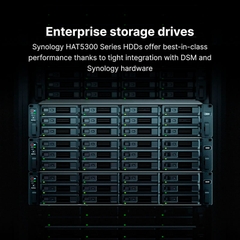 HDD Synology HAT5320 24TB 3.5 inch SATA 1GB Cache 7200RPM HAT5320-24T