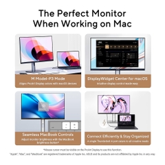 Màn hình 6K ASUS ProArt PA32QCV IPS 31.5 Inch 6K 60Hz HDR USB-C Hub