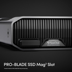 Ổ cứng để bàn HDD WD G-DRIVE Project 3.5 Inch 24TB SDPHG1H-024T-SBAAD