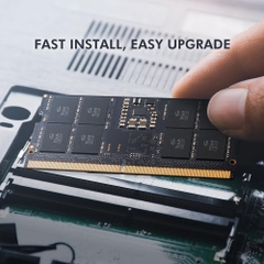 RAM Laptop TeamGroup Elite 32GB DDR5 5600MHz (1x32GB) TED532G5600C46A-S01