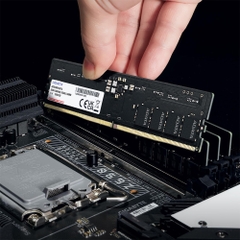 RAM PC ADATA 16G 5600MHz DDR5 UDIMM AD5U560016G-S