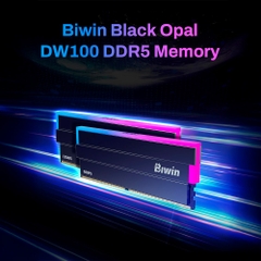 Ram PC Biwin Black Opal DW100 RGB 32GB 6000MHz DDR5 (16GBx2) BXL53260DW1-D36DB