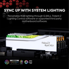 RAM PC G.SKILL Trident Z5 Royal Neo RGB 96GB 6000MHz DDR5 (2x48GB) F5-6000J2836F48GX2-TR5NS